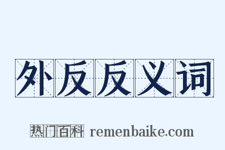 外反反义词是什么意思的图片